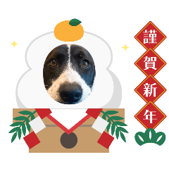 Charlie_20251229001151