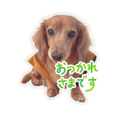 hayato_20251228085822