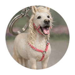 Hana's Parents_20251228110913