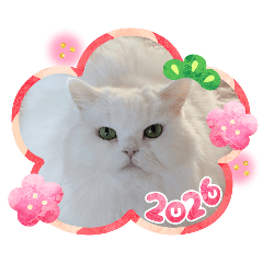 azuma_20251228123847