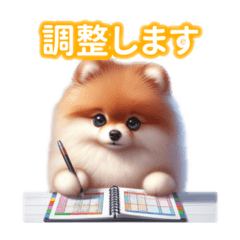 Simply Adorable Pomeranian