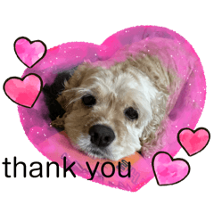 ！？！？！？。。