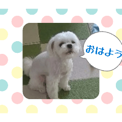 rinrin_20251229093906