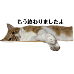 maygoma_20251229100758