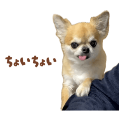 natsumikan_20251229125421