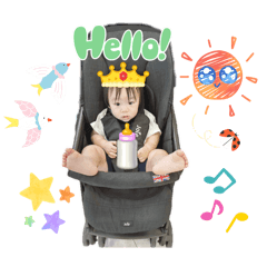 iguana_20251229125820