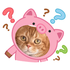 RARUN_20251229130708