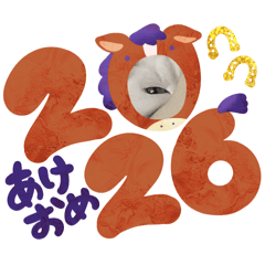 masabi_20251229131035