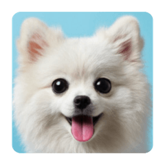 nisisisi_20251228141639