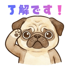 The Expressive Pug Life