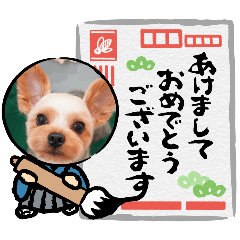 komame_20251229112003