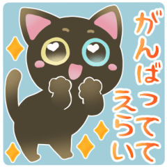 Odd-eyed black cat 3 [cheer]