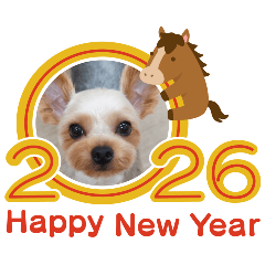 komame_20251228171508