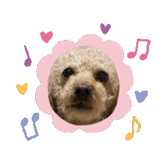 Maron stickers Im Maron