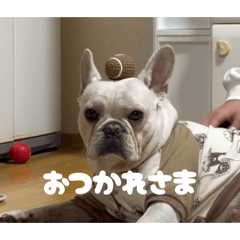 Okada_20251229041651