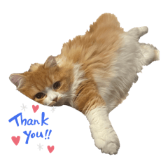 kinako_20251228212058