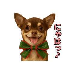 taroimo_20251228215241