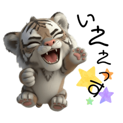 sorakko_20251229123733