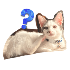 REINA_20251229124751