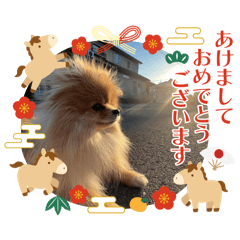 YURIKA_20251229135000