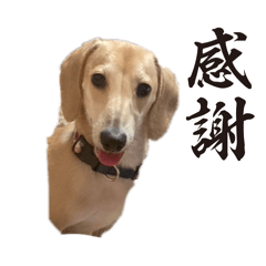 yuka_20251229135052