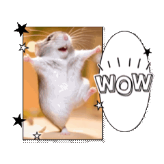 The realistic daily life of the hamster