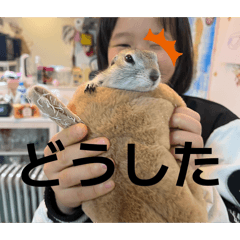 KANAHEBI_20251229110814