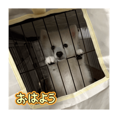 K_20251229141916