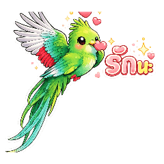 nimit_20251229130619