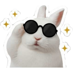 小白兔的日常貼圖