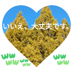 どう進めばいいんだろう　ゼット世代の挨拶