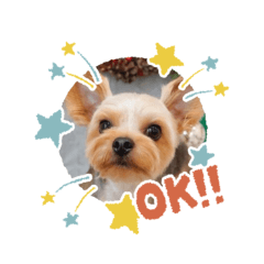 komame_20251229050807