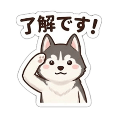 takuma_20251229061838