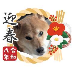 rimi4296_20251229132622