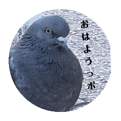 HATO_20251229133747