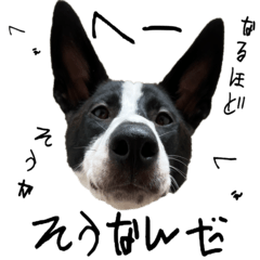 rami sona mame Sticker