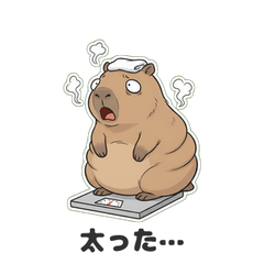 Totono Capybara: Sauna Lover's Edition8