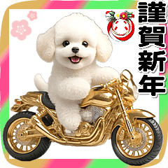 祝你好運和財富☆金色自行車玩具貴賓犬