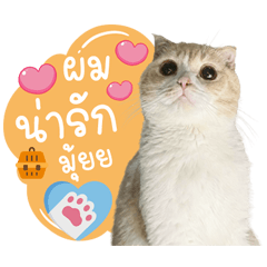 เราชื่อส้มร่มเกล้า