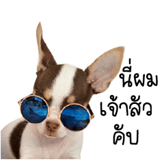 ผมชื่อ เจ้าสัว มาแล้วครับ