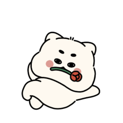 Not So Easy Cat Myodongi