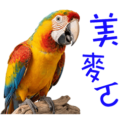 生活好用日常 _B