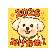 choco_20251229155518