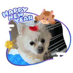 t.m.t.m.t.p_20251229160413