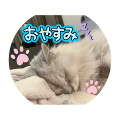 Mitsu_20251228103706