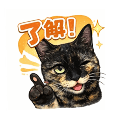 MARIMARI_20251229153337