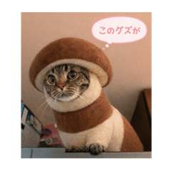 Boku Nekota_2025122809370