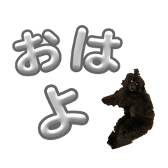 TIARA_20251229154945