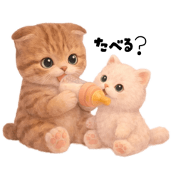 Himechan House_20251229160442