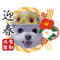 YUKARI TSUKIMURA_20251229193102